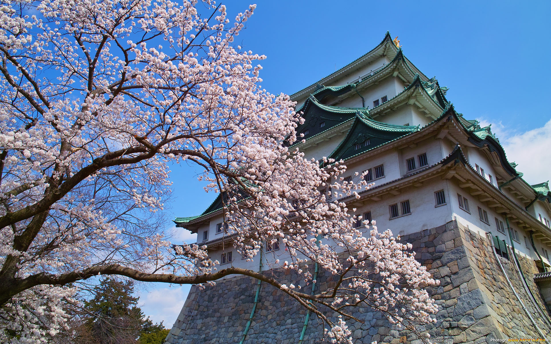 Main japan. Японский замок Нагоя. Нагоя Япония достопримечательности. Япония достопримечательности Нагойский замок. Нагоя Япония леса Сакура.